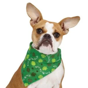 Kiss Me Im Irish - Festive Green Shamrock St. Patty Spirit Bandanas For Dogs 19" - Picture 1 of 5