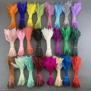 30 Colores Suaves Plumas de Ganso Despojadas Decoración 12-18 CM para Plumas Artesanales Hágalo usted mismo - Imagen 1 de 37