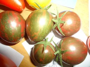 Purple bumblebee Heirloom tomato 20 seeds - Picture 1 of 2