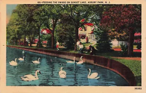 DE COLECCIÓN ASBURY PARK NUEVA JERSEY FEEDING CISNES ON SUNSET LAKE POSTAL 072023 S - Imagen 1 de 2