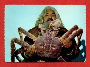 GIANT ALASKAN KING CRAB postcard marine life crabs food sea creatures - Picture 1 of 2