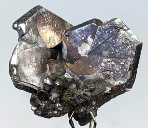 +++ GALENA (TWINNED), PYRITE  SWEETWATER MINE, REYNOLDS COUNTY, MISSOURI +++ - Picture 1 of 8