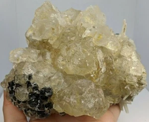 +++ FLUORITE, SPHALERITE, QUARTZ DAL'NEGORSK, RUSSIA +++ - Picture 1 of 11