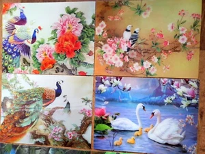 Joblot of 28 pcs 3D Art beautiful Birds picture set 30x40cm New Wholesale - Picture 1 of 9