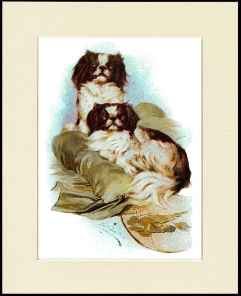 JAPANESE CHIN TWO LITTLE DOGS CHARMING DOG PRINT MOUNTED READY TO FRAME - Image 1 of 1