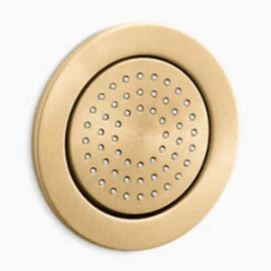 Kohler K-8014-2MB WaterTile Round 54 Nozzle MasterClean Body Spray, Brushed Bras - Picture 1 of 2