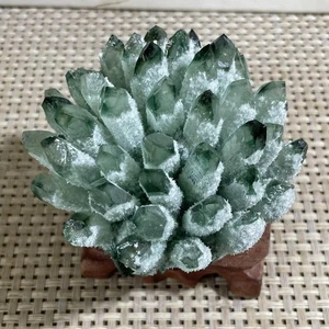 243g Nuevo Encontrar Verde Fantasma Cuarzo Cristal Racimo Mineral Espécimen Sanación - Imagen 1 de 14