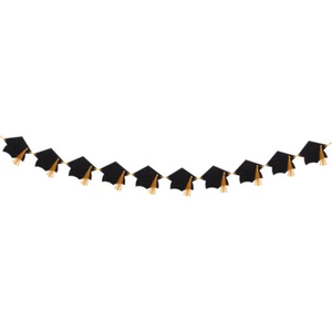 Doctor Hat Pull Flower Paper Graduation Banner Graduations Decoration - Picture 1 of 12