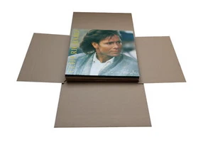 5 St. LP Export Versandkartons für variabel 1-10 Vinyl Schallplatten 2-wellig - Bild 1 von 8