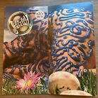 JELLYFISH Bellybutton LOT  FLEXI-DISC Promo Vinyl CASSETTE CD Fold OUT Covers