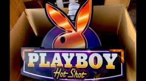 PLAYBOY HOT SHOTS SLOT MACHINE TOPPER PLAYBOY CASINO Bally Collectible Item - Picture 1 of 2