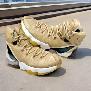 Nike LeBron 13 XIII Elite LB Lino Vanchetta 876805-299 Hombres Talla 11.5 Zapatos - Imagen 1 de 19