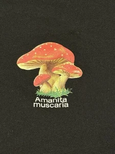H&M Amanita Muscaria Black Shirt Size XL “Do Not Eat” Graphic front and Back - Picture 1 of 7