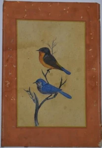 VINTAGE 1970s INDIAN MINIATURE BIRD PAINTING ORNITHOLOGY PAINTING COLLECTABLE - Picture 1 of 5