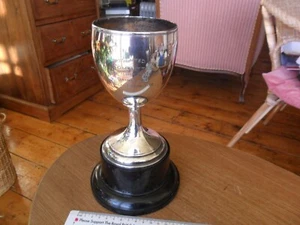 Vintage Silver Village Show 'Most points gained by Exhibitor' Trophy Cup - Picture 1 of 8