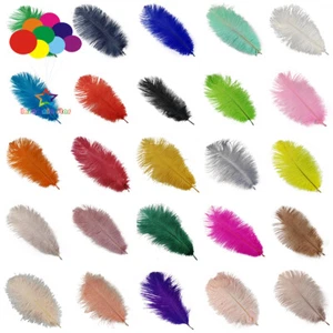 50Pcs Hard rod Ostrich Feathers 20-25 CM/8-10inch For Crafts Decor Centerpieces - Picture 1 of 38