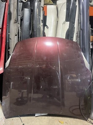 No Shipping Sorry 2003 To 2006 Nissan 350z Hood OEM - Image 1 of 2