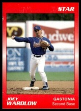 1989 Star Joey Wardlow Gastonia Rangers #39