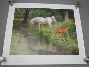 Mary Haggard Just Passing Through Limited Edition Litho Signed Arabian Horse - Bild 1 von 5