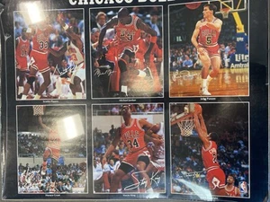 Chicago Bulls Poster Vintage 1980’s In Plastic NBA Jordan 16 X 20 In RARE - Bild 1 von 2