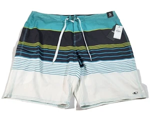 Pantalones Cortos de Natación O'Neill 38 Para Hombre Brisbane Azul Rayas Nuevos con Etiquetas Largo Completo - Imagen 1 de 12