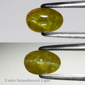 💎 1.30ct Oval Natural Yellowish Green Cat's Eye Chrysoberyl - Sri Lanka Gem - Picture 1 of 6