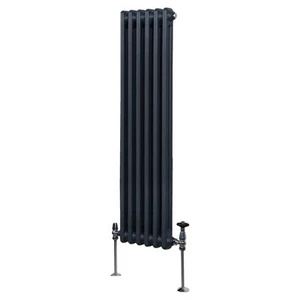 Termosifone Radiatore a 2 colonne per riscaldamento centralizzato verticale - Foto 1 di 9