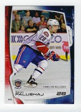 2011-12 Hamilton Bulldogs (AHL) Aaron Palushaj (Örebro HK)