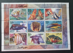 2000 FOGLIO SOMALIA SEALIFE VITA MARINA PESCE TROPICALE NUOVO NUOVO NUOVO NUOVO NUOVO DI ZECCA - Foto 1 di 1