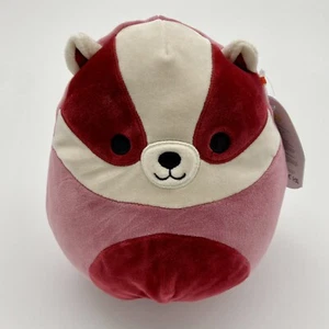 Squishmallow Matias the Badger peluche morbido 7,5 pollici Wildlife Squad nuovo - Foto 1 di 4