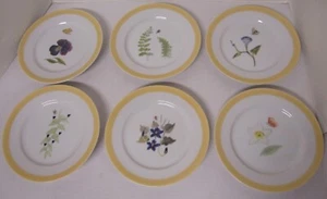 Williams Sonoma Summer Studies Salad Dessert Plates Butterfly Lady Bugs 6 pc - Picture 1 of 7