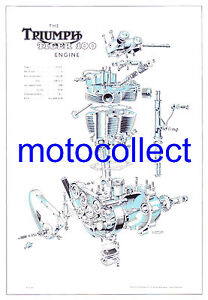 TRIUMPH 500cc Pre unit Engine.. Exploded View A4 Print.. Free Postage to UK