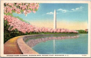 Riverside Drive Potomac River Washington DC 1933 Vintage Linen Postcard B37 - Picture 1 of 2