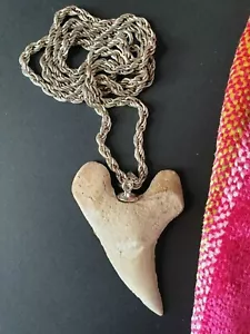 Old Shark Tooth Fossilized Pendant Necklace on Silver Tone Chain (b) - Picture 1 of 7