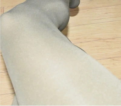 Medias pantimedias Calvin Klein vintage transparentes sedosas verdes para mujer Foto 1 de 4