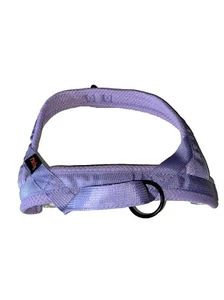 Didog Teal Plush Padded Reflective Dog No Pull Medium Harness Chest 21-26” Laven - Picture 1 of 6