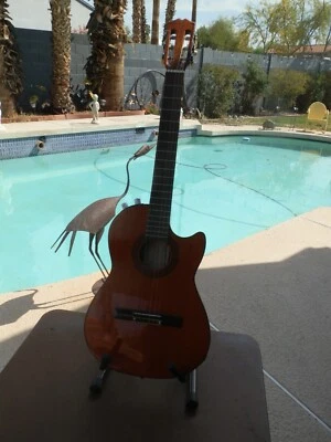 GUITARRA ELÉCTRICA ACÚSTICA HOHNER PROFESIONAL MODELO NO, HAG21 Foto 1 de 4