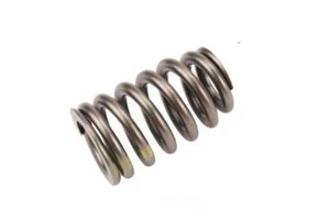 Engine Valve Spring - Picture 1 of 2