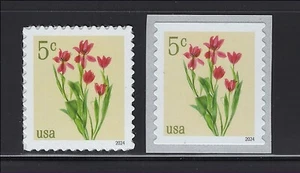 US Scott # 5900 & 5905 MNH 5 cent Red Tulips Pane & Coil Singles 2024 - Picture 1 of 1