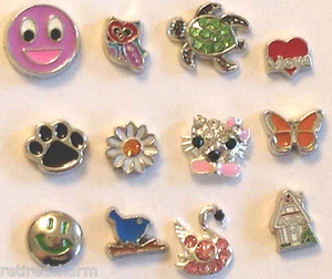 ❤️FLOATING LOCKET CHARMS ~WILL FIT Memory OWL ~ U CHOOSE ~ COMBINED SHIPPING ❤️ - Picture 1 of 13