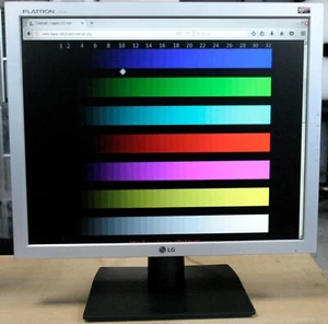 Monitor 19" pulgadas Marca LG modelo Flatron L1919S VGA con cables - Imagen 1 de 6