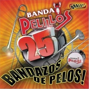 25 Bandazos De Pelos Banda Pelillos - Picture 1 of 1