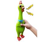 Rubber Chicken Toy - Green Design - Squeaky fun screaming 12.5 inch tall