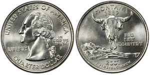 2007-P Montana Statehood Quarter 25C Uncirculated Coin Denver mint STP41 - Picture 1 of 1