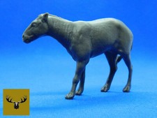 Eohippus Resin scale model!  Same as the 1/9 Breyer’s Traditional scale!