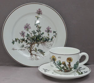 Villeroy & Boch Botanica 1 von 3  Kaffeetasse & Untertasse und Kuchenteller  gut - Picture 1 of 9