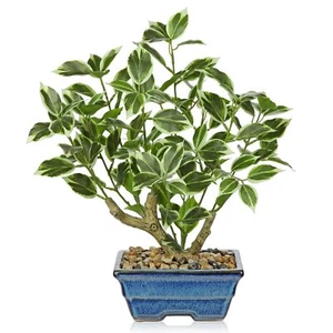 Fake Plants Small Artificial Plants 15" Artificial Bonsai Tree Faux Plants In... - Picture 1 of 6
