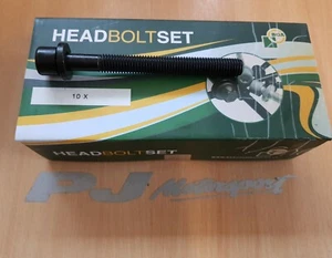 COSWORTH YB HEAD BOLTS SET (10) SIERRA COSWORTH ESCORT COSWORTH BY BGA - Picture 1 of 2
