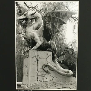 Dan Westfall Photograph Slovenia Dragon Statue Photo 5x7 Print Matted 8x10 Art - Picture 1 of 6