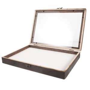 Insect Display Box Butterfly Collection Entomology Case Child Cases for Bugs - Picture 1 of 12
